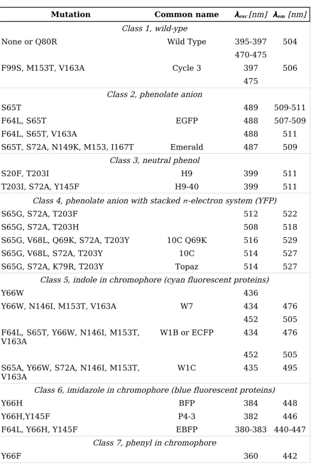Table 1: Sprectral characterisitcs of the major classes of green fluorescent proteins  [Tsien, 1998]