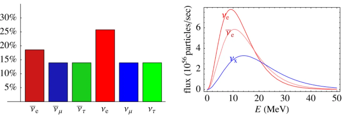 Figure 1.5: Typical indicative neutrino flux composition at the exit of neutrino-spheres (left panel) and typical energy spectra (right panel).