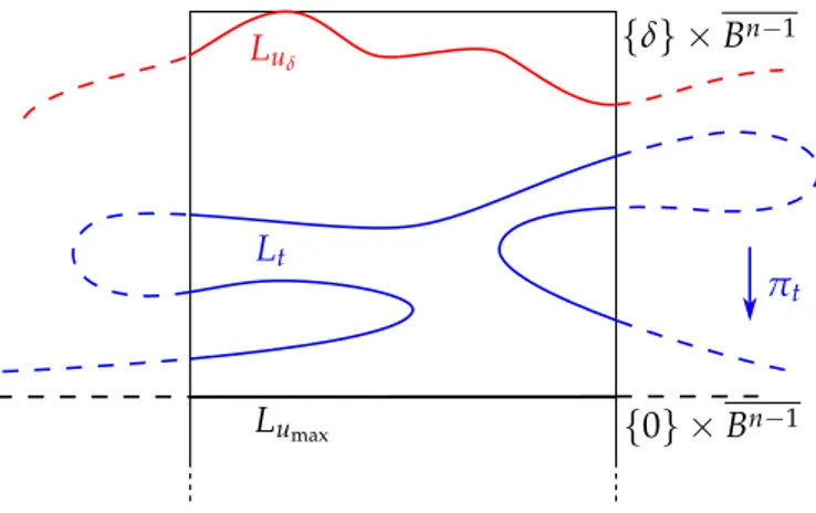 Figure 3.2: A section of the cylinder [− δ , δ ] × B n−1 . The arrow shows the action of the function π t , that sends the points of L t to their projection on L u max = { 0 } × B n−1 .