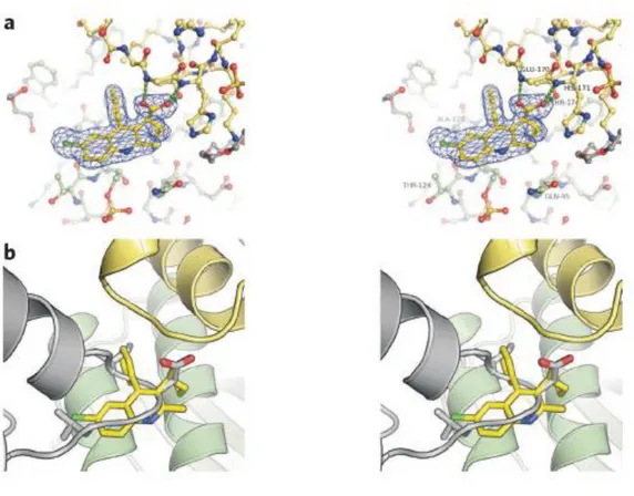Figure 6: Crystal structure of LEDGIN compound 6 bound to the LEDGF/p75 binding pocket of the integrase  catalytic core domain (CCD)