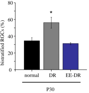 Figure 6: EE from birth counteracts DR effects promoting  RGC  dendrite maturation.