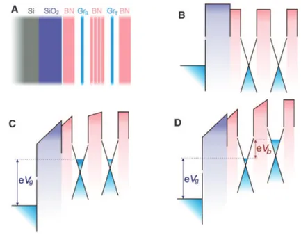 Fig.	 1.16	 Graphene	 field-effect	 tunneling	 transistor.	 (A)	 Schematic	 	 structure	 the	 experimental	 	 devices.	 (B)	 The	 corresponding	 band	 	 structure	 with	 no	 gate	 voltage	 applied.	(C)	The	same	band	structure	for		a	finite	gate	voltage	Vg	