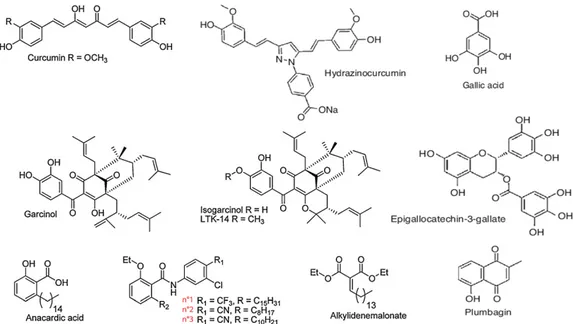 Figure 1-12. Natural products inhibitor of Histone acetyl transferases and their derivatives  (adapted from Ghizzoni, 2011)