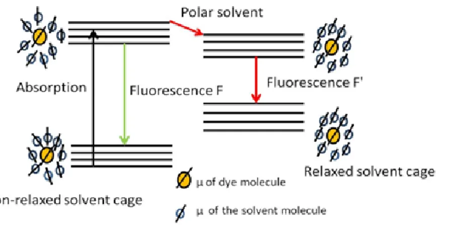Figure  25 Representation of  solvent cage around the salvatochromic dye with the orientation of the dipole 