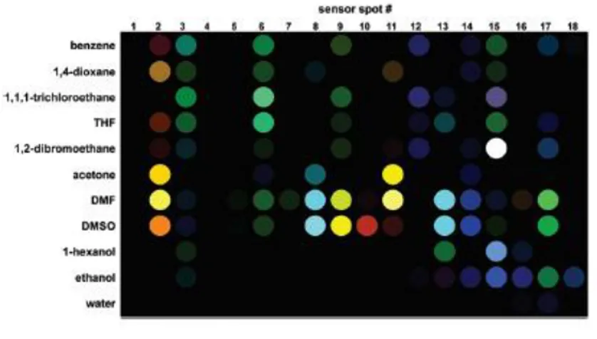 Figure 30  Colorometric sensor array detection of different organic solvents at 10% of their saturation vapour 