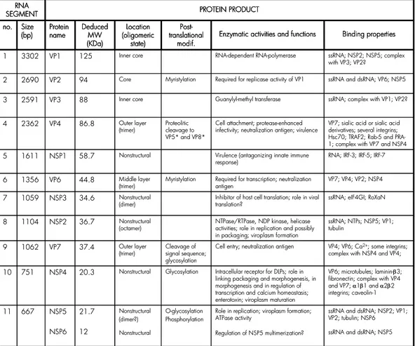 TAB. 1:  Genes, gene protein assignments and published functions of proteins of group A 