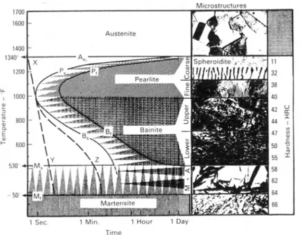 Figure 1.4: TTT diagram for an eutectoid carbon steel (0.77% C), (from [7]).