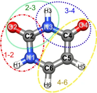 Figure 3.2: Partitioning schemes of the uracil monomer within ONIOM B2PLYP:B3LYP computations, parts considered as high level/model systems  (com-puted at the B2PLYP/maug-cc-pVTZ level) are marked by circles (1-2, 2-3, 3-4 or 4-6).