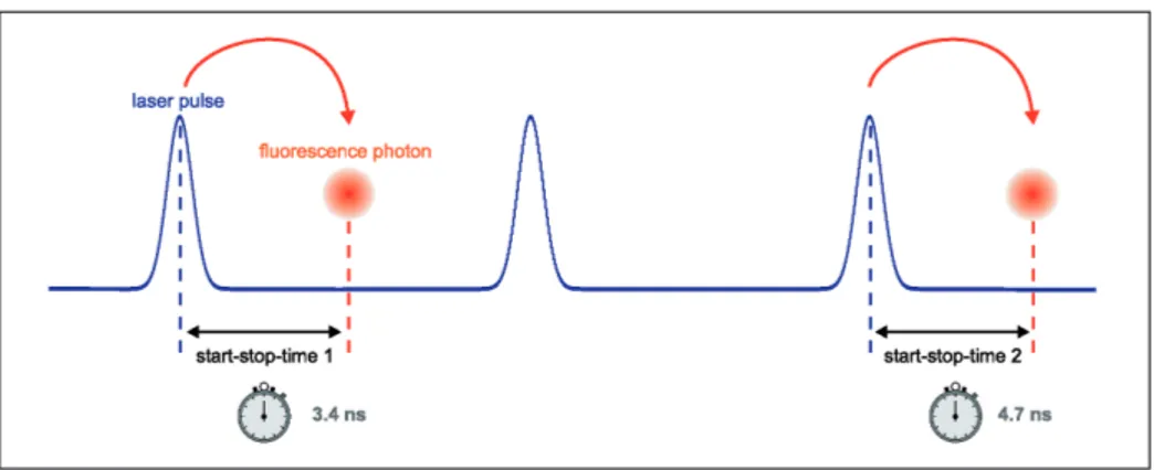 Figure 1.10: Measurement of start-stop of time-resolved fluorescence measurement with TCSPC.