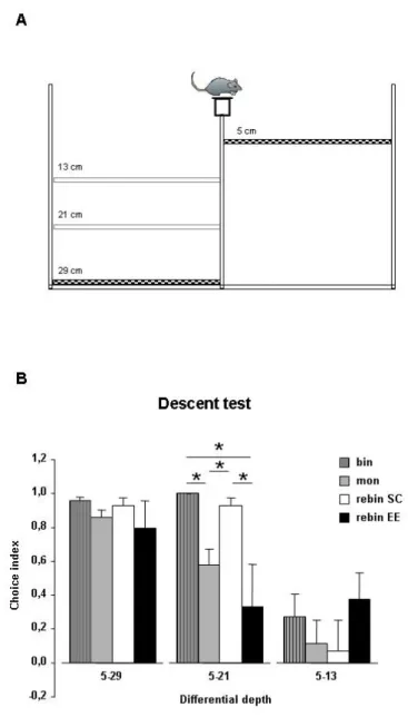 Figure 9:  Binocular decorrelation impairs visual depth perception in adult EE animals: descent test