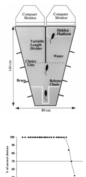 Figure 3:  (A)  Schematic diagram and components of the visual water box. View from above showing the  major components including pool, midline divider, platform, starting chute and two monitors