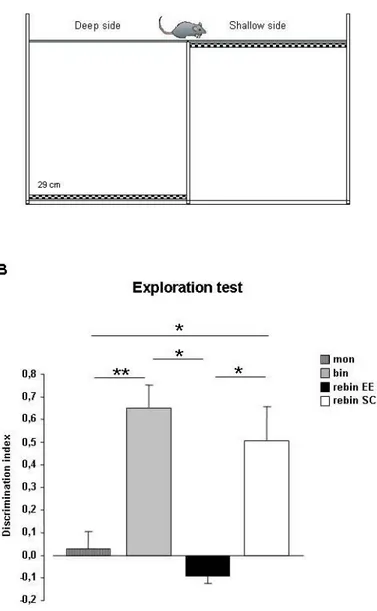 Figure 8:  Binocular decorrelation impairs visual depth perception in adult EE animals: exploration  test