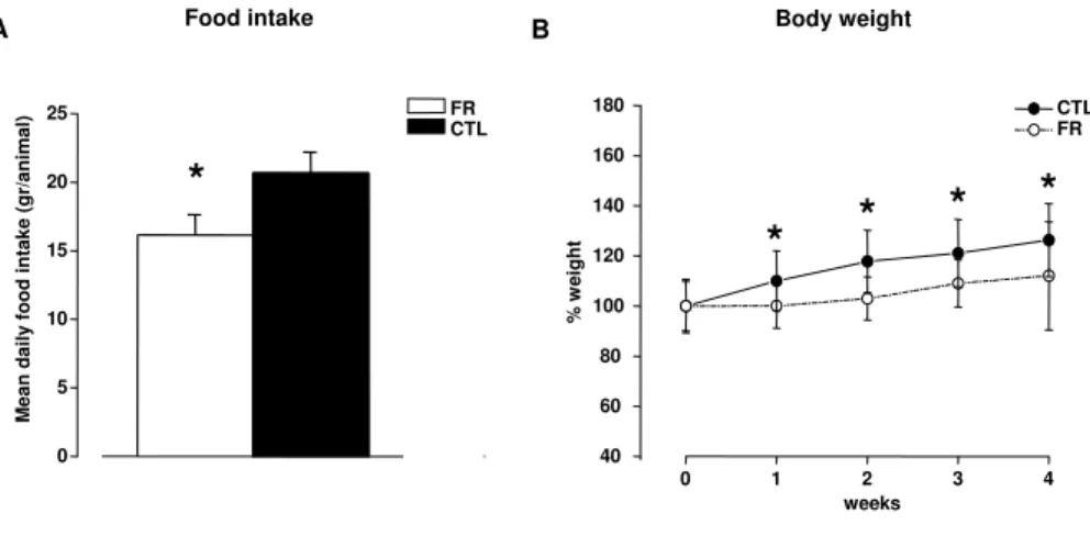 Figure 2: Measure of Food intake and body weight in FR rats. A) Food intake was measured in the last 10 days of diet