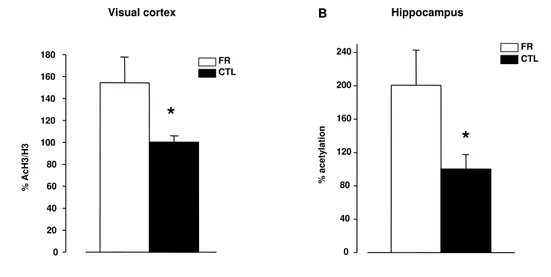 Figure 9: FR induces histone acetylation in the visual cortex and hippocampus of adult rats