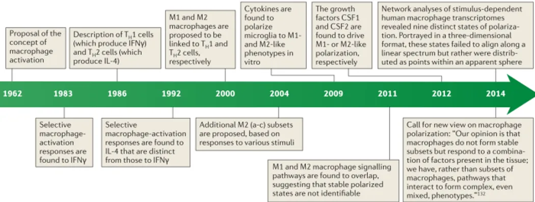 Figure 1.9: M1 and M2: the concept of macrophage polarization [76]. In many cases, this response is protective and is downregulated once the damage or pathogen has been dealt with