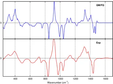 Figure 2.11. QM/FQ ROA spectrum of ML in aqueous solution (top)