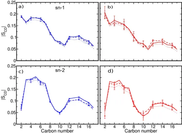 Figure 5.5: Deuterium order parameters (SCD) evaluated for sn-1 and sn-2 lipid acyl chains from MD  simulations of DOPC and RHB-DOPC lipid bilayers at three different temperatures (solid, dashed and  dotted lines: 293 K, 303 and 320 K, respectively)