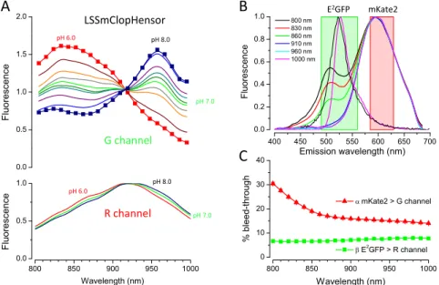 Fig. S1. Raw excitation spectra of LSSmClopHensor and fluorescence bleed through between the acquisition channels
