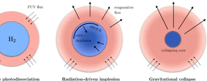 Figure 10. Sketch of the three main phases of the photoevaporative process. From left to right: (1) FUV radiation penetrates as an R-type photodissociation front, turning a clump shell to atomic form, without any dynamical effect on the gas; (2) the clump 
