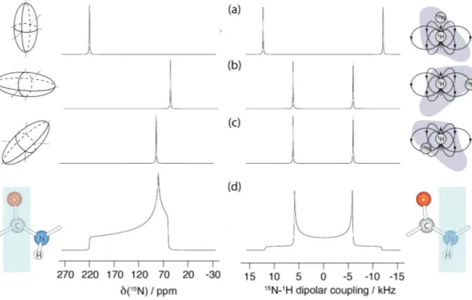 Figure 2.1: Numerical simulation of the NMR spectrum for three particular sample orientations (a-c) and for a static powder pattern (d) of a 13 C carbonyl chemical shielding tensor (left, δ iso