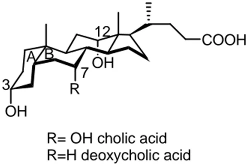 Figure 3: cholic and deoxycholic acid structure  In particular in this project were synthesized: 