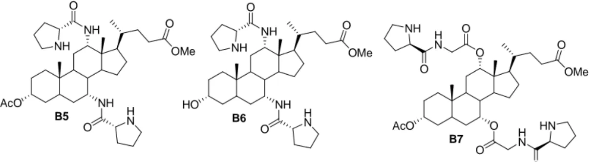 Figure 6: bisprolinamide bile acid derivatives