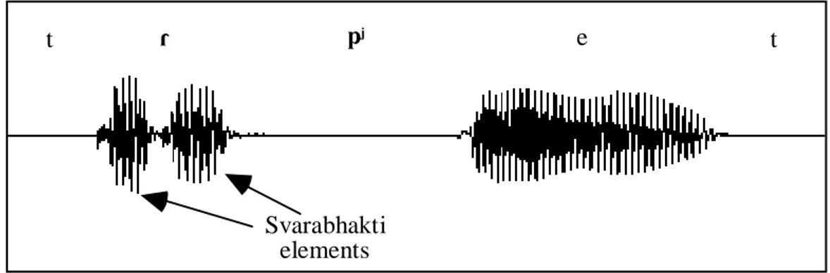 Figure 2. Oscillogram of a Czech inter-consonantal syllabic rhotic in  trp E#t