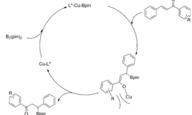 Table 2. Asymmetric b-borylation with a copper catalyst bearing ligand (S)-L5. [a] Entry R R’ Conversion [b] [%] ee [c] [%] (R) 1 H CH 3 99.9 12 2 3-Cl CH 3 94 15 3 4-Cl CH 3 63 21 4 4-NO 2 CH 3 – – 5 H C 6 H 5 99.9 45 6 H 4-NCC 6 H 4 99.9 4 7 H 4-F 3 CC 6