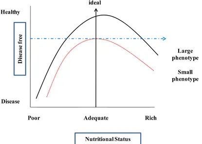 Figure 5: The Hypothetical Relationship Between Adult Health and Nutritional Level During Later Development for Two 
