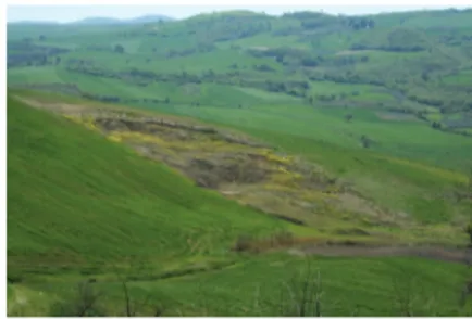 Figure 2.  A typical example of slope movement (shal- (shal-low soil slip) in the Daunia slopes.