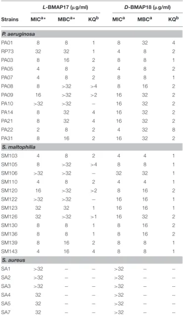 TABLE 1 | Antibacterial activity of L-BMAP18 and D-BMAP18 against Gram-positive and Gram-negative strains from CF patients.