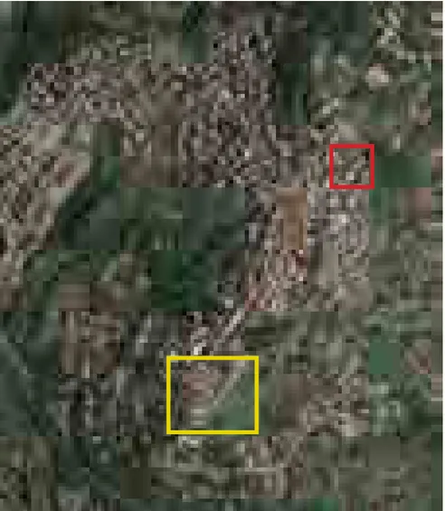Fig. 45b: I due nuclei di edilizia pubblica sorti a Lanuvio nel 1946: le &#34;casette&#34; di via Marianna Dionigi  (in rosso) e quelle di Borgo S