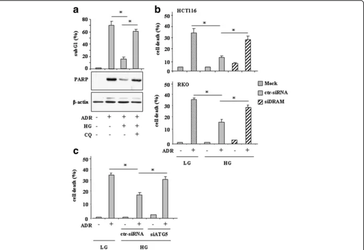 Fig. 4 Autophagy inhibition or DRAM silencing restored ADR-induced cell death in HG. (a) HCT116 cells were treated with ADR (2 μg/ml for 24 h) in low ( −) and high glucose (HG) condition with or without 25 μM CQ (for 16 h)