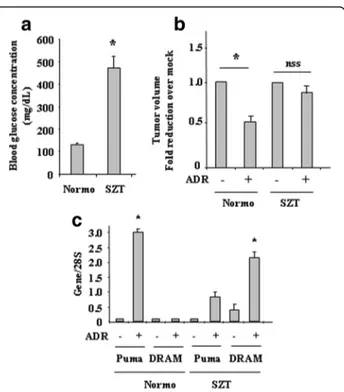 Fig. 5 Autophagy inhibition or DRAM silencing restored ADR-induced PUMA transcription in HG