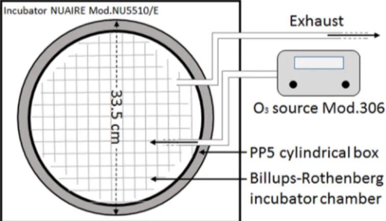 Fig 1. Schematic illustration of the exposure system. The main parts of the exposure system are: an Ozone Calibration Source, a PP5 box culture chamber and a modular incubator chamber