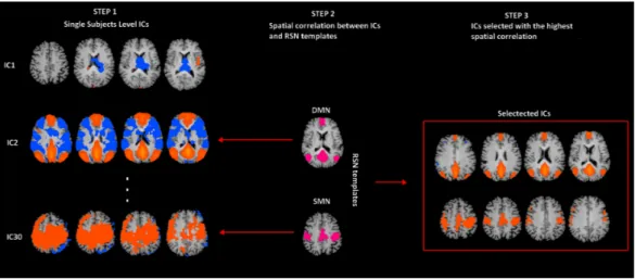 Figure 1 rs-fMRI processing. Selection of two Resting State Networks among the independent compo-