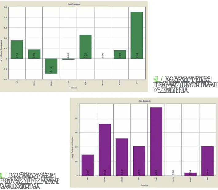 Fig. 2 Gene expression analysis of BM- BM-hMSCs cultured on Ti machined disks vs.  Ti-15Mo machined disks.