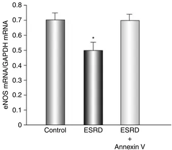 Fig. 4. Effect of RBC from controls ( , N = 12), RBC from ESRD patients ( , N = 12), or RBC from ESRD patients preincubated with AnV ( , N = 12) on eNOS mRNA quantity in HUVEC cultures by  real-time PCR analysis