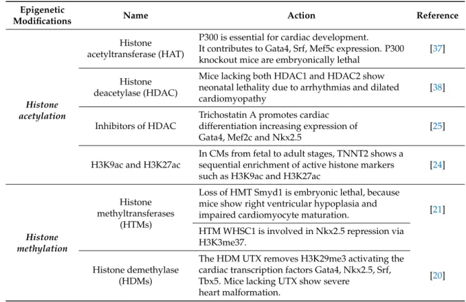 Table 1. Recent advances in epigenetic control of human cardiogenesis and cardiac differentiation.