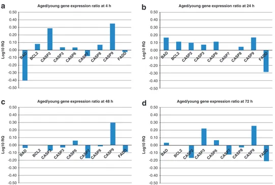 Figure 4 Expression levels of genes representative of the apoptosis pathway, analysed with RT-PCR using TaqMan low density arrays