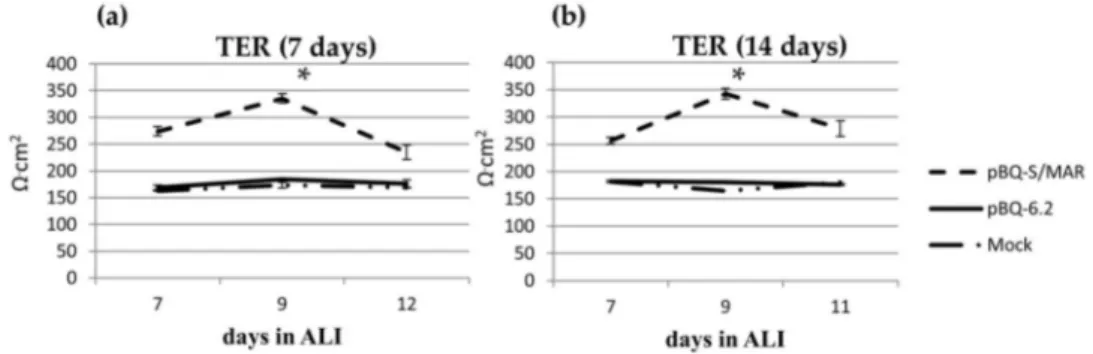 Figure 5. CFTR expression by pBQ-S/MAR increases TER of CFBE cells. TER was measured in CFBE cells, mock or transfected with the indicated plasmids at day 7 (a) or 14 (b) after transfection
