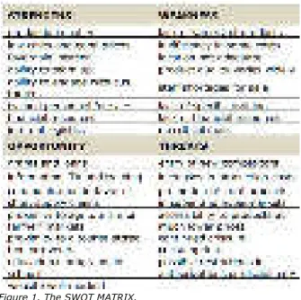 Figure 1. The SWOT MATRIX. 