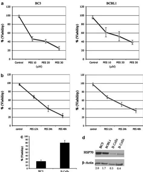 Figure 1 PES-induced loss of viability in PEL cell lines is dose and time dependent. (a) BC3 and BCBL1 were treated for 24 h with different PES concentrations (10, 20 and 30 mM) or (b) for different times (12, 24 and 48 h) with 20 mM of PES