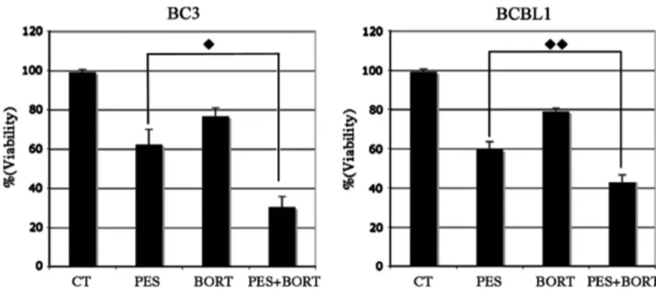 Figure 6 PES synergizes with bortezomib in the induction of PEL cell death. BC3 and BCBL1 were treated with bortezomib (10 nM), PES (10 mM) or combination of both for 16 h and viability was assessed by trypan-blue exclusion