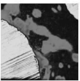 Fig. 3.2. (A) light microscopic view of native bone (away from  implant  surface  at  least  0.7mm)