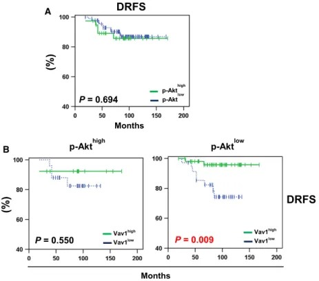 Fig. 6. Distant relapse-free survival of breast cancer patients according to p-Akt and/or Vav1 status of their primary tumors