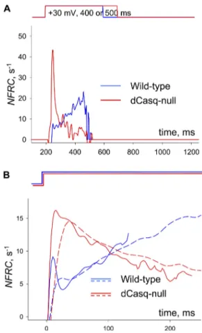 Figure 3.   Evolution of evacuability in WT and dCasq-null cells.  (A) The NFRC, an index approximately equal to E (see Materials  and methods) calculated for the example images of Fig