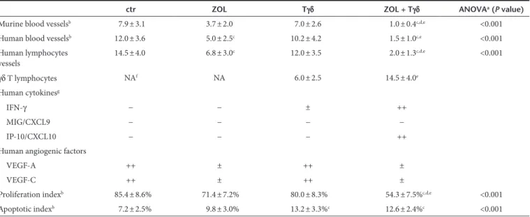 Table 1  Immunohistochemical analyses of tumors developed after SH-SY-5Y cell injection in the adrenal gland of athymic nu/nu mice untreated  or treated with ZOL, human Vγ9Vδ2 T cells or both 