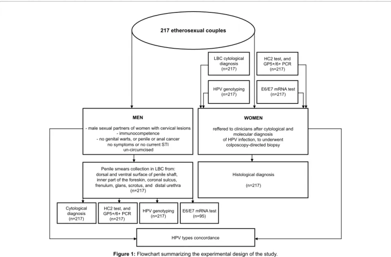 Figure  1  summarizes  the  informations  regarding  patient’s  enrollment criterial, material collection, and test methods applied