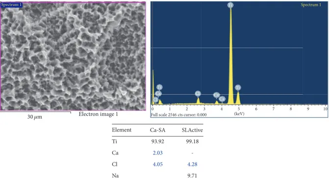 Figure 2: Electron spectroscopy analysis of CA and SLActive surfaces. These surfaces presented comparable percentages of titanium.